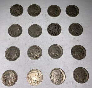 Buffalo Nickel Lot (16) #6