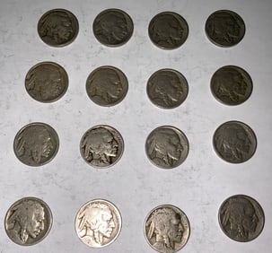 Buffalo Nickel Lot (16) #7