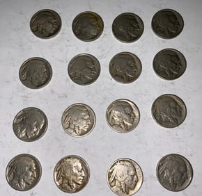 Buffalo Nickel Lot (16) #8