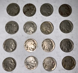 Buffalo Nickel Lot (16) #9