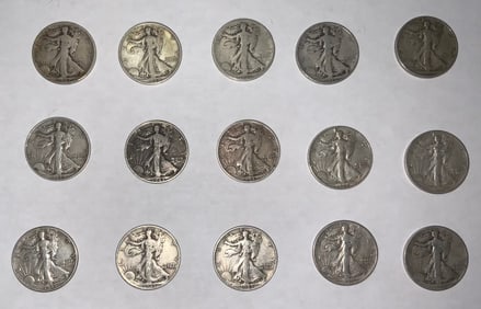 Walking Liberty Silver Half Dollar Lot (15)