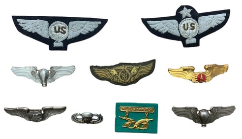 Post WWII Collector Pin Backs & Bullion Wings Lot (9)