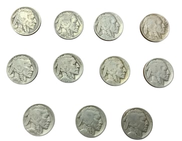 Buffalo Nickel Lot (11) #2