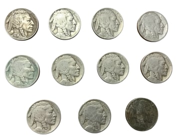 Buffalo Nickel Lot (11) #4