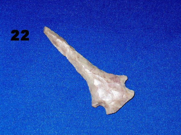 Archaic Drill - 2 15/16" x 1 3/16" - Winston Co., A: Archaic Drill - 2 15/16" x 1 3/16" - Winston Co., AL - Pink and Tan Chert - Ex. Charles Taylor (finder) - Jackson COA