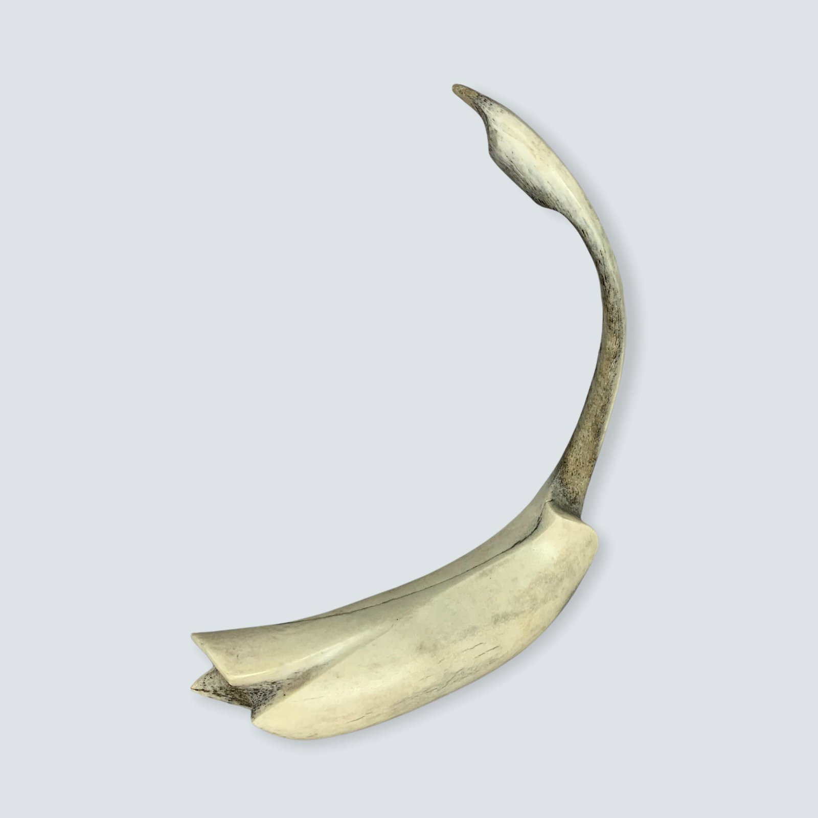 Swimming Goose Carved Antler Horn by M. Momson: A unique carved Antler goose by carver M. Momson 7 x 8 1/2 tall