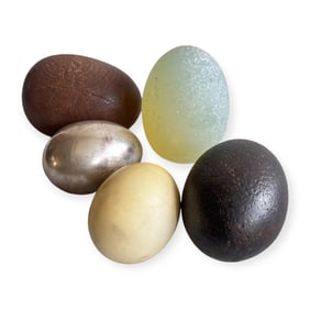 Collection of 5 Eggs