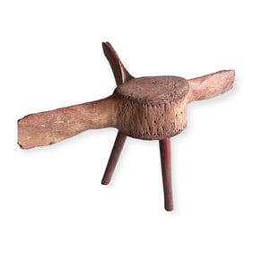 Rare Whale Vertebrate Stool