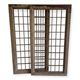 Exceptional 19th C Cupboard Doors