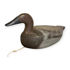 Canvasback Hen Duck Decoy