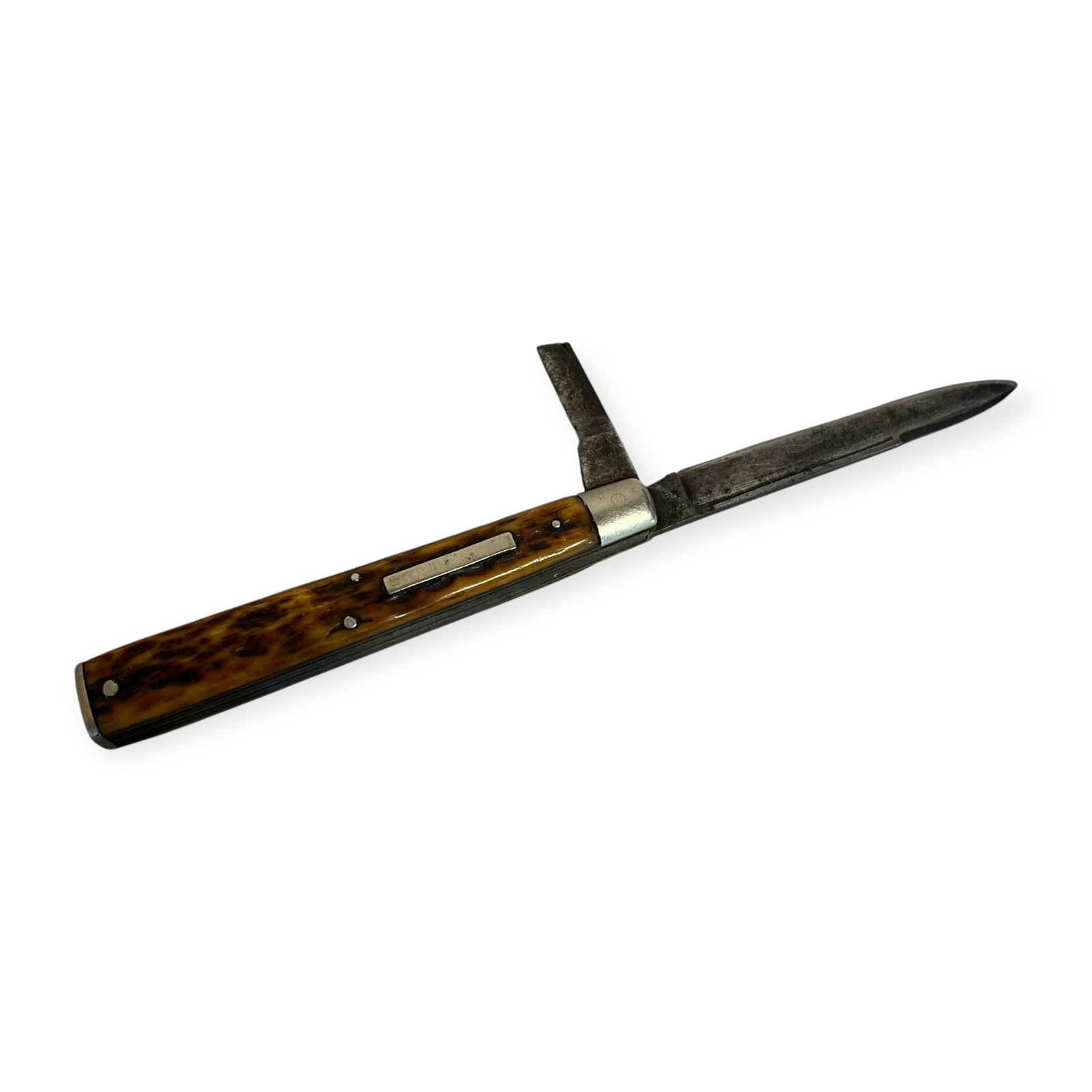 Narrow Stag Handled Folding Knife (1 of 1)