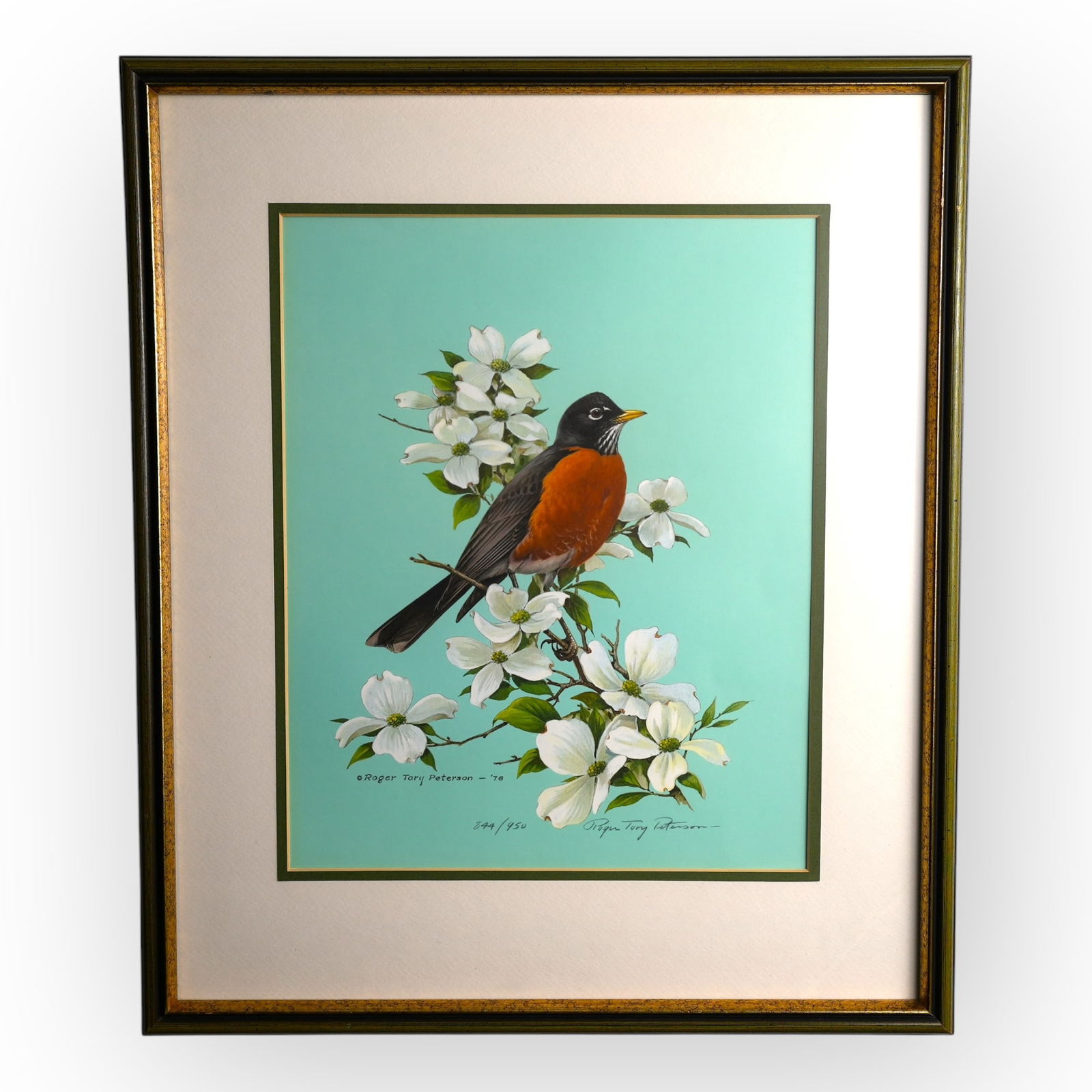20th C American Robin Print (1 of 3)