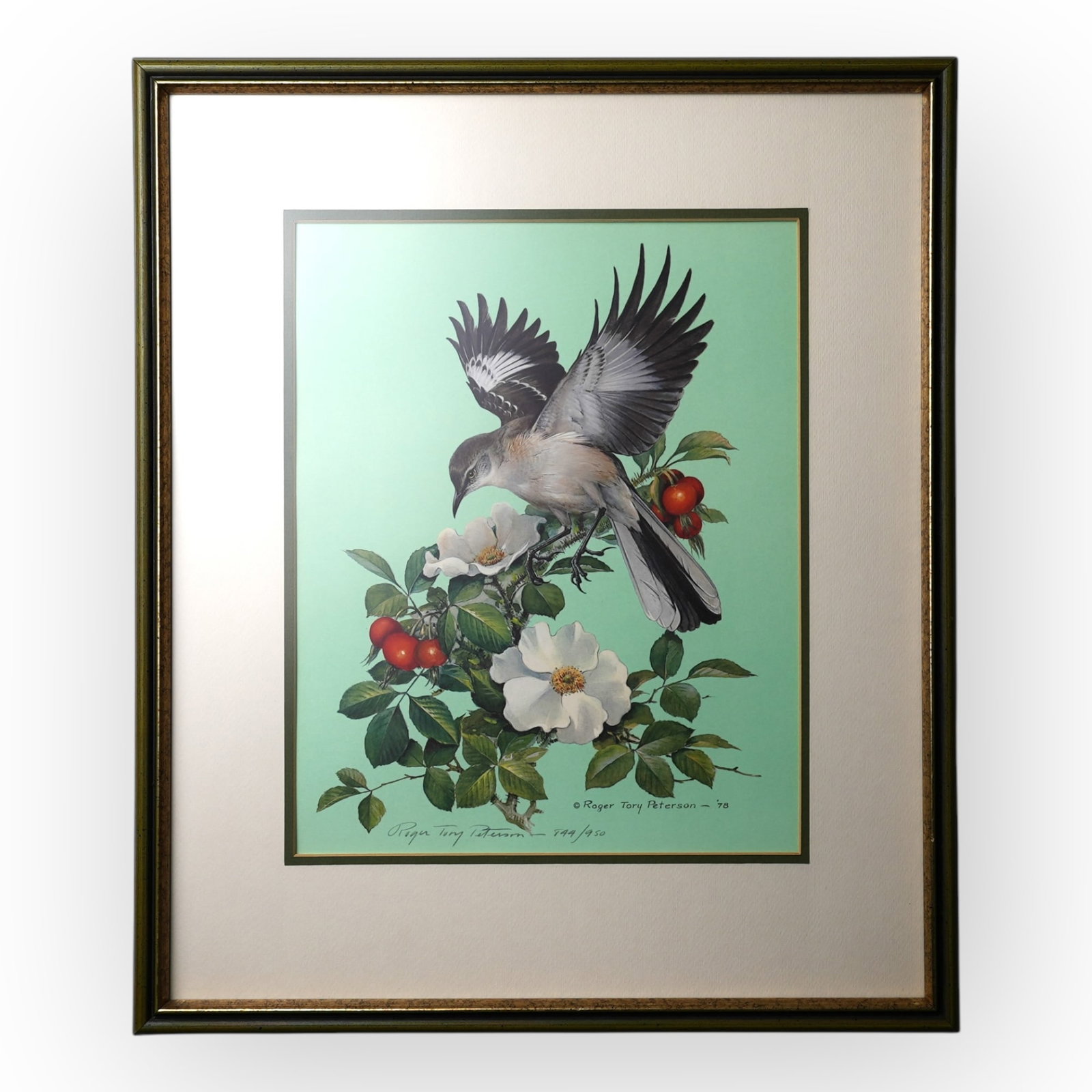 20th C Rose-Breasted Grosbeak & White-Throated Sparrow Print (1 of 3)