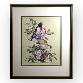 20th C Northern Mockingbird Print