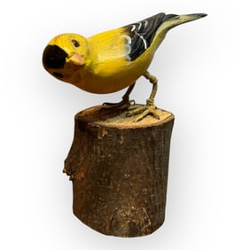 20th C Finch Carving