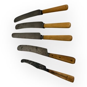 5 19th Century Bone Handled Cutlery Knives