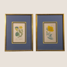 2 Hand Colored James Sowerby Engravings