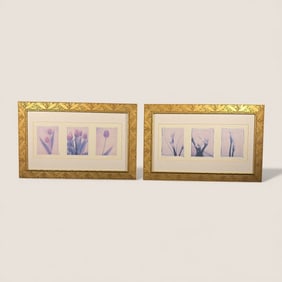 Pair of Floral Art Prints