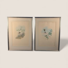Pair Of Antique Hand Colored Engravings Hummingbirds