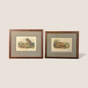 Pair Of Audubon Octavo Prints "Marmot Squirrel & Woodchuck"