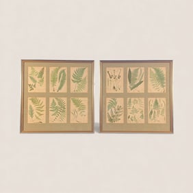 The Fern World (Francis George Heath) Framed Plates 1 - 12