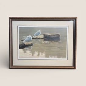 Canadian Artist " Robert Bateman " Signed And Numbered Print