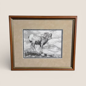 Frank Mittelstadt Signed Ram Drawing