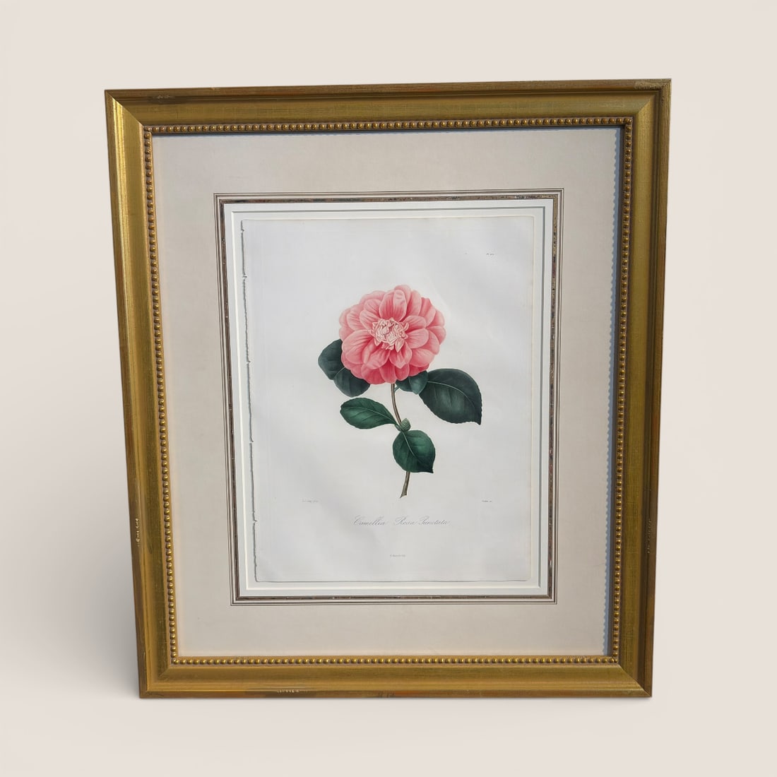 "Abbe Laurent Berlese " Hand-colored Stipple Engraving (1 of 1)