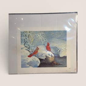 1989 Print of " Winter Brook-Cardinals "
