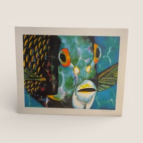 Signed And Numbered Art, Fish