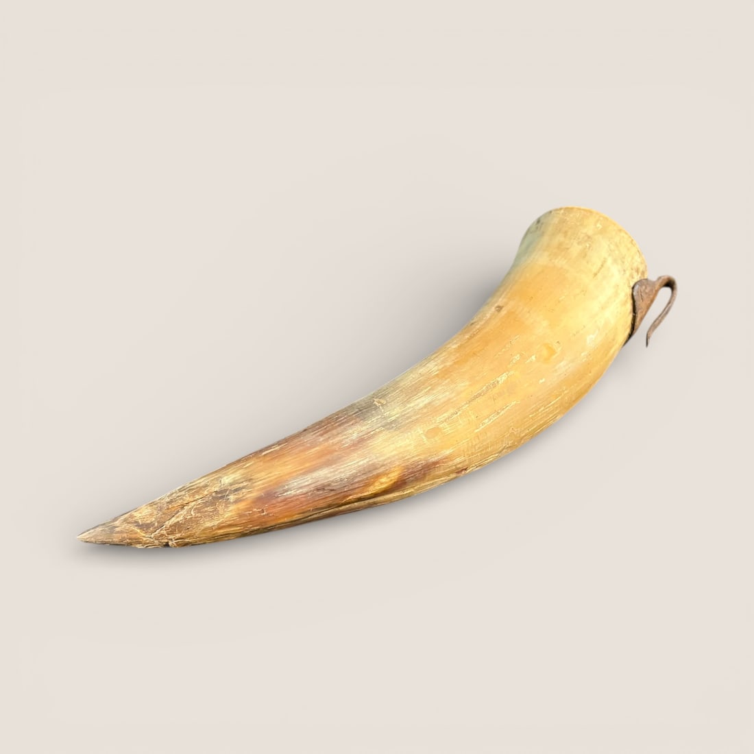 Antique Horn With Iron Belt Hook (1 of 1)