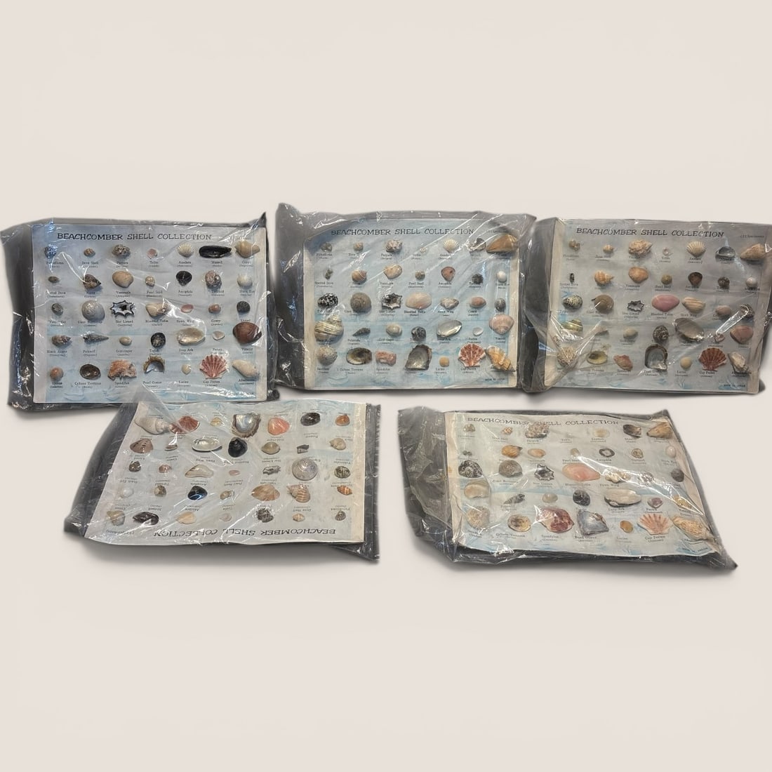175 Piece Collection Of Beachcomber Shell Collection (1 of 2)