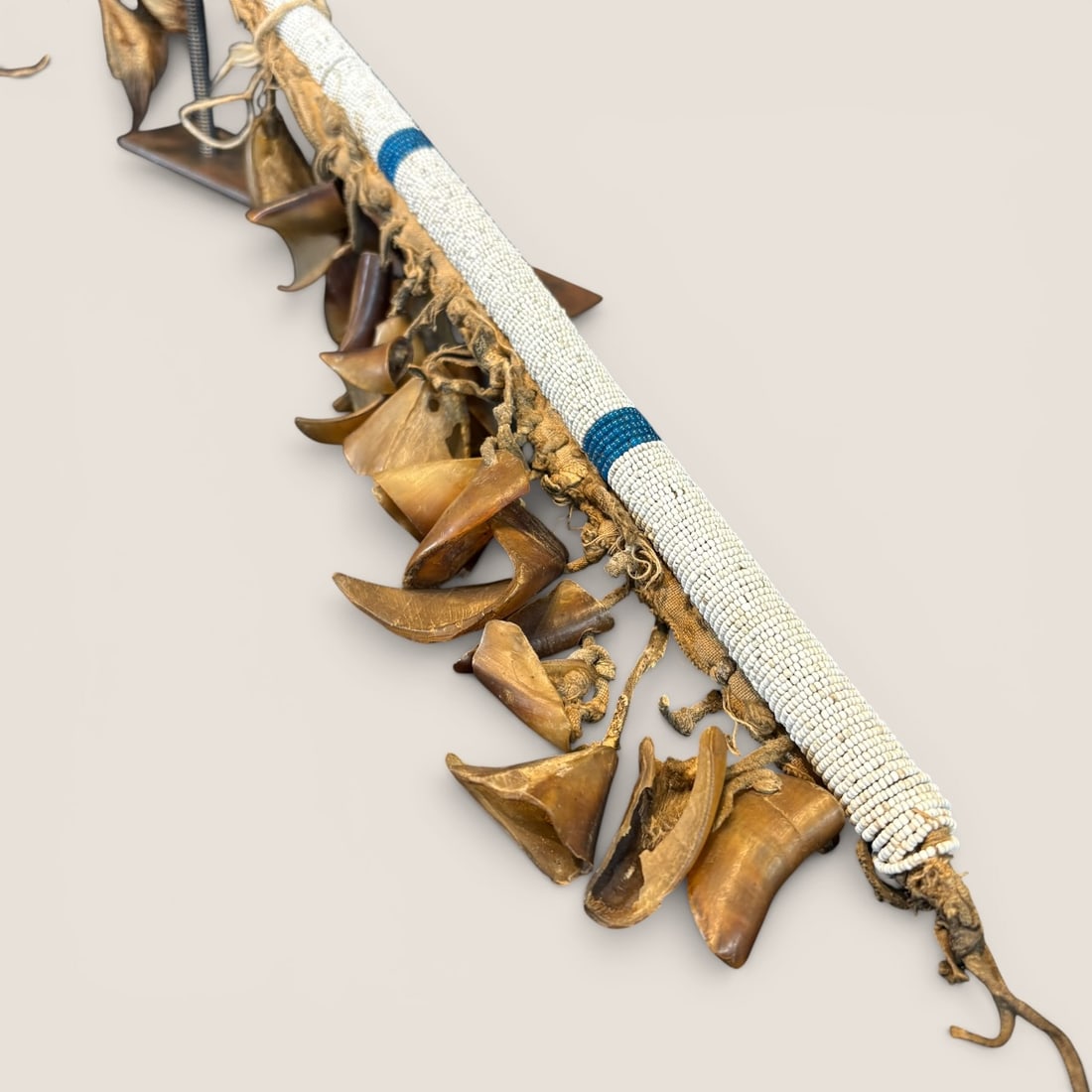 19th C Crow Dew Claw Rattle: Measures approx 17 inches.We provide in-house shipping on all items in the auction. Bid directly at Bid.Ziebarths.com for a lower buyers premium (18%).