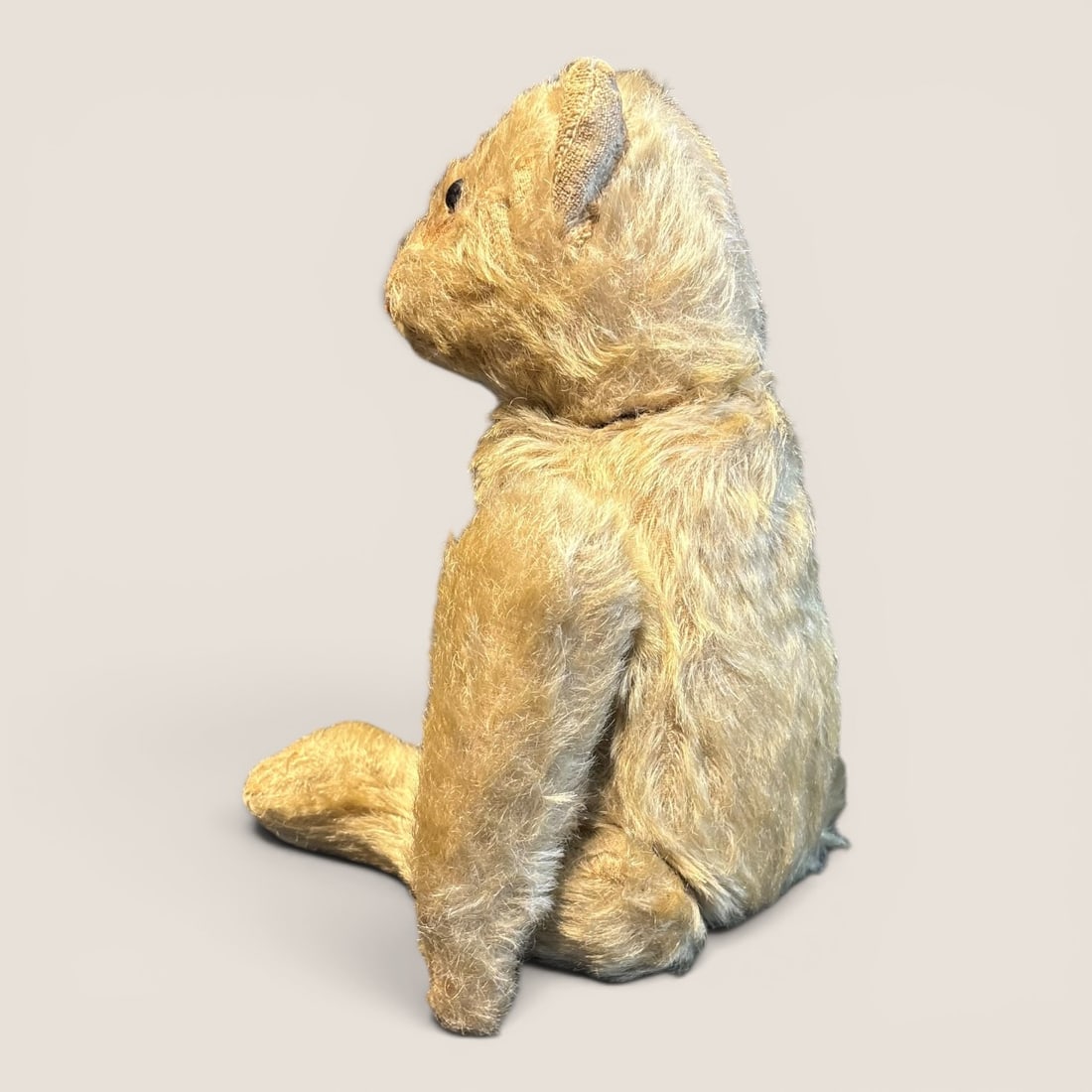 Vintage Steiff Teddy Bear - 2