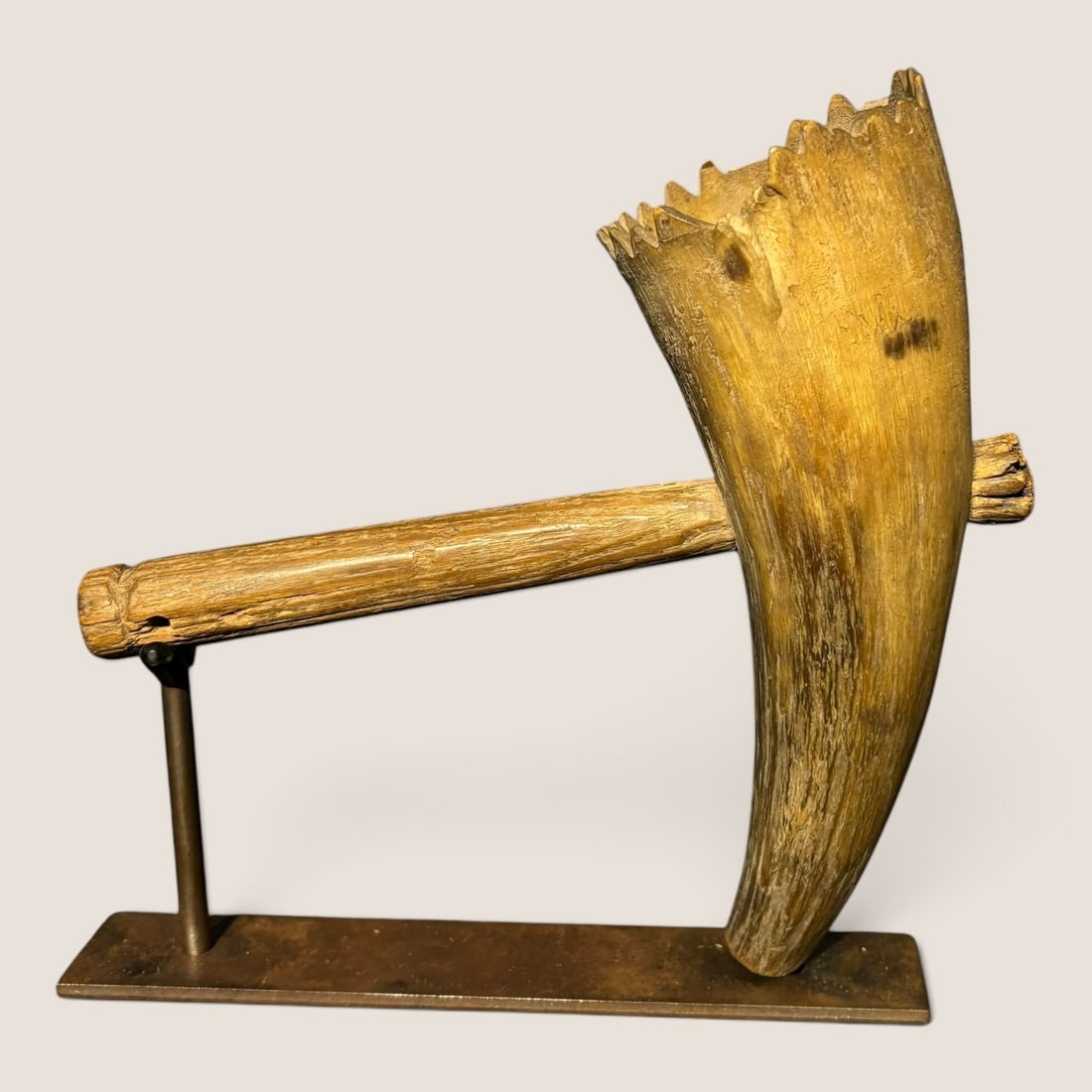Civil War Era Horn Gun Powder Measure: Measuring approx 7 x 7 inches, stand not included in purchase.We offer effecient & affordable in-house shipping on all items in this auction. Bid directly at Bid.Ziebarths.com for our lowest buyers