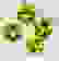 item-100876337=2