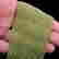 item-110395434=3