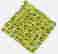 item-113037425=1