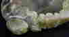 item-130537147=2