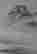 item-130637653=3