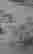item-130637653=4