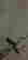 item-130637656=3