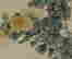item-130705011=4