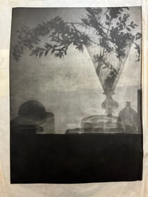 Baron A de meyer photogravure on silk