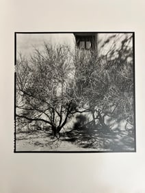 Seven beautiful large format photographs in great condition 1970s