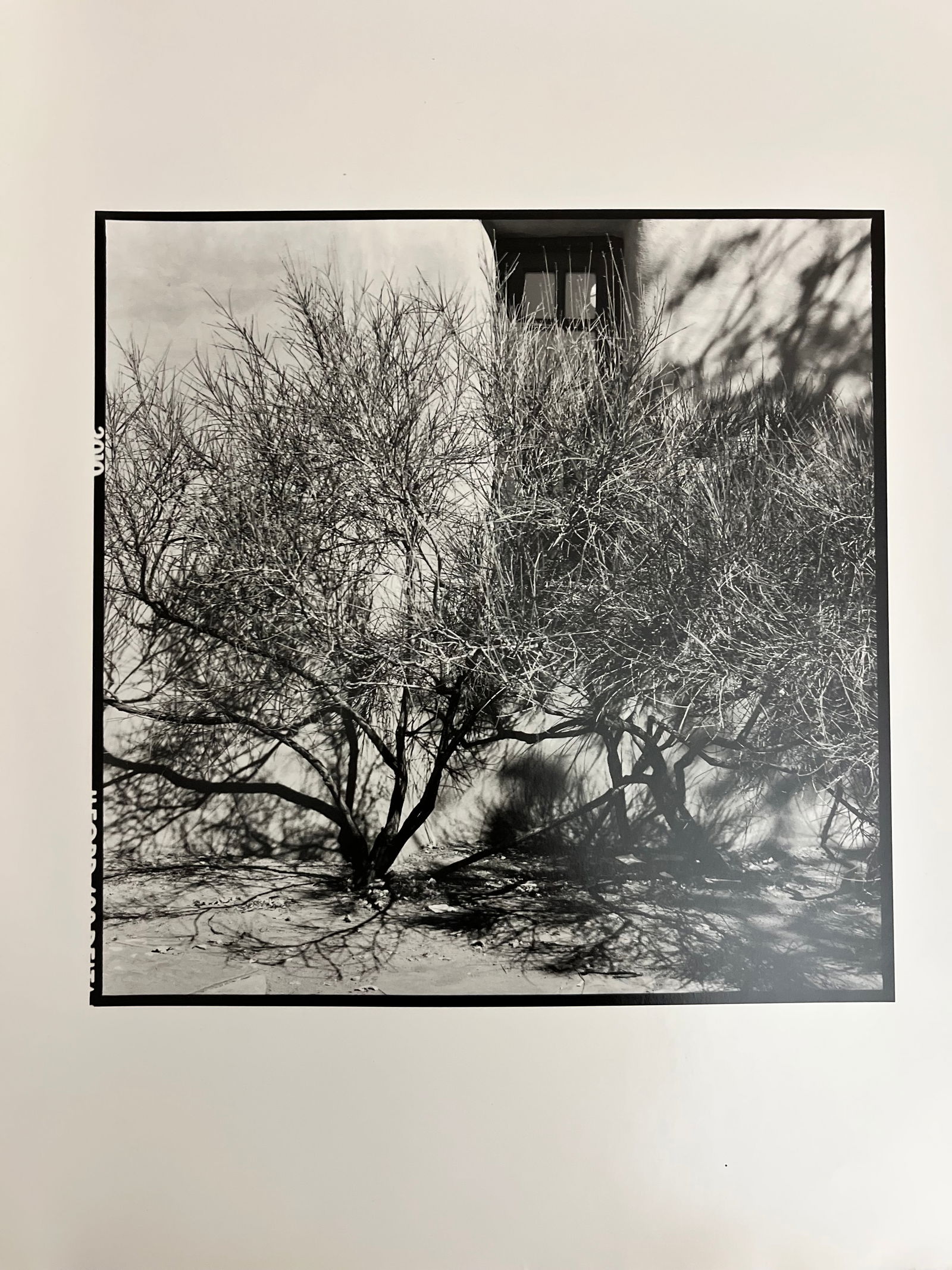 Seven beautiful large format photographs in great condition 1970s (1 of 7)