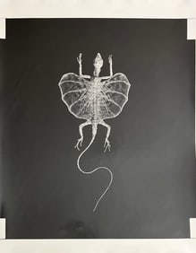 Art photograph 16 inches wide 20 inches tall condition good