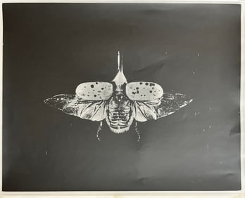 Art photograph 1980s