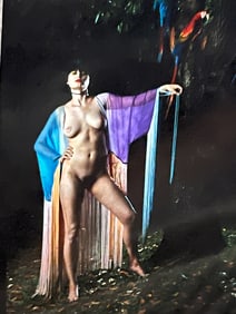 Art photograph possibly a vogue photographer 1980s