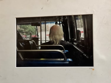 Attribute to Lee friedlander photography